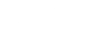 Ilka Gleisner - Logo & Webseite & Print