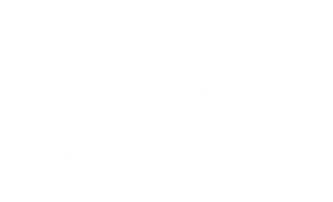 Sebtronic -  Logodesign